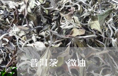 普洱茶 微油/2023042835209